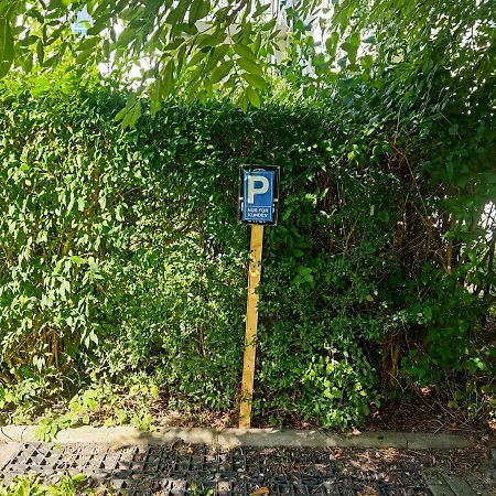 *****Saxonia De Luxe***** Neue & Hochwertige 50Qm² 2-Zimmer-Ferienwohnung In Chemnitz Mit Parkplatz & Wie Zuhause Wohlfuehlatmosphaere - My Feel@Home Apartment In Chemnitz Exterior foto